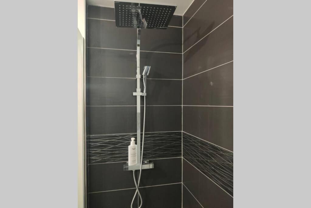 Logement Entier+ Jardin Prive Et Parking 2Places روان المظهر الخارجي الصورة